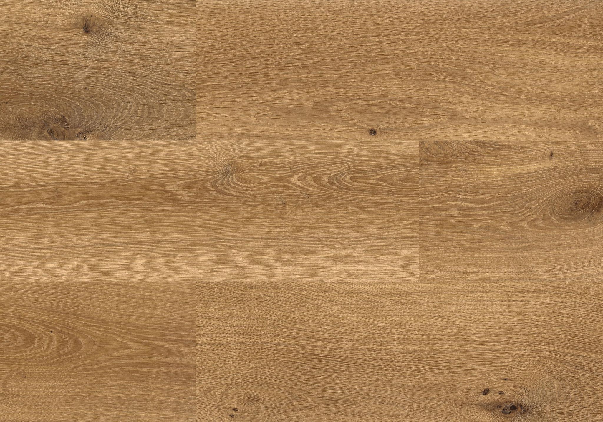 Kaya Oak Wellington | Best Tile and Wood